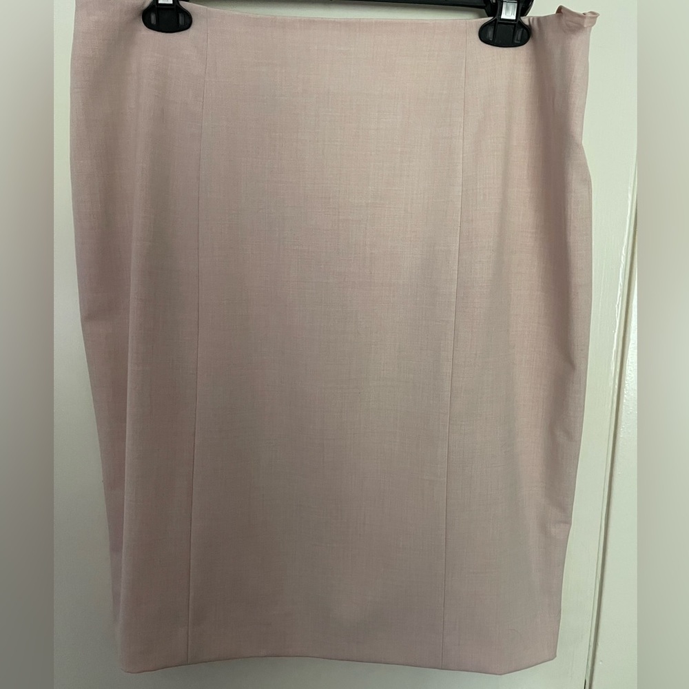 NWT Alex Marie fully lined career skirt